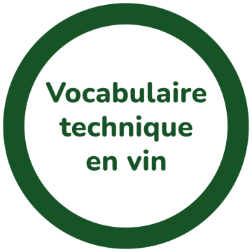 Vocabulario técnico